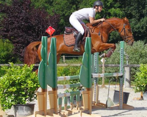 Springpferd Ankara de Gravelotte (Selle Français, 2010, von Adorado)