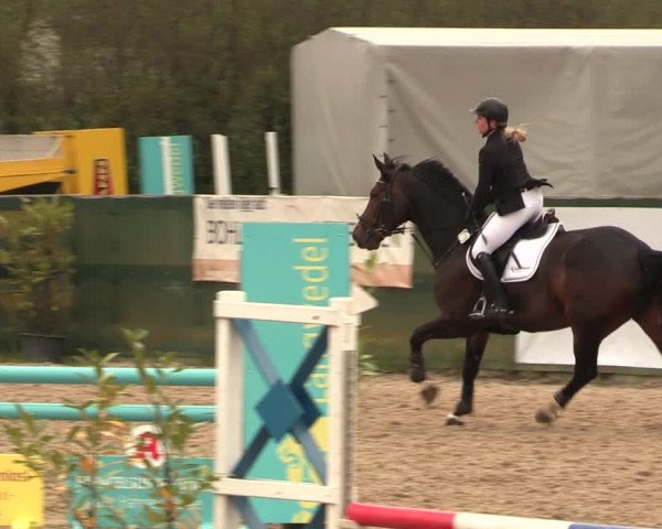 Reitturnier Langwedel - Hagen - Grinden 2019