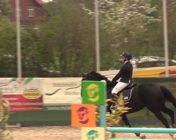 Reitturnier Langwedel - Hagen - Grinden 2019
