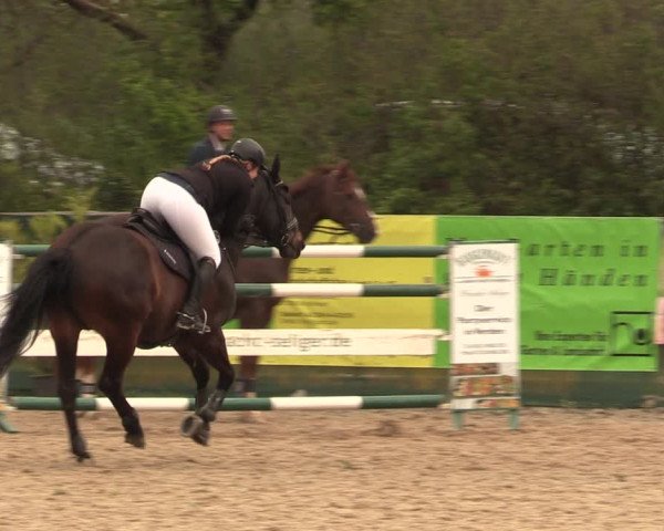 Reitturnier Langwedel - Hagen - Grinden 2019