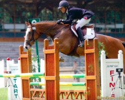 broodmare Quina de la Sabliere (Belgian Warmblood, 2000, from Essentiel de Brève)