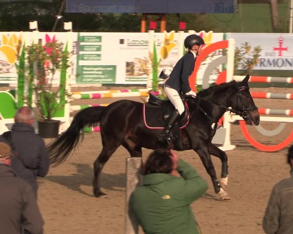 Reitturnier Langwedel - Hagen - Grinden 2019
