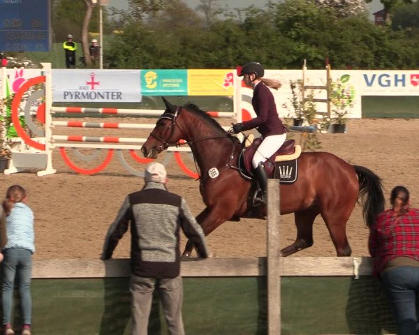 Reitturnier Langwedel - Hagen - Grinden 2019