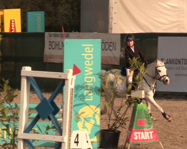Reitturnier Langwedel - Hagen - Grinden 2019