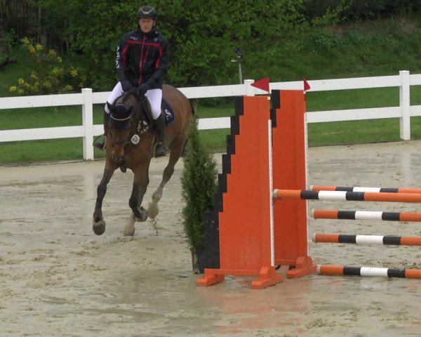 Reitturnier Leutkirch-Diepoldshofen 2019