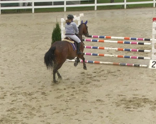 Reitturnier Leutkirch-Diepoldshofen 2019