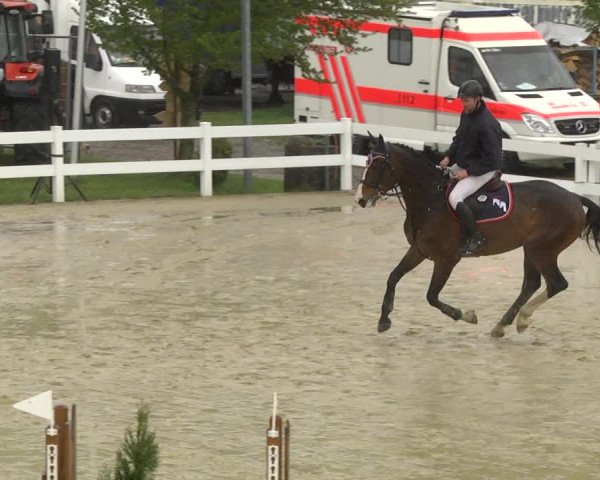 Reitturnier Leutkirch-Diepoldshofen 2019