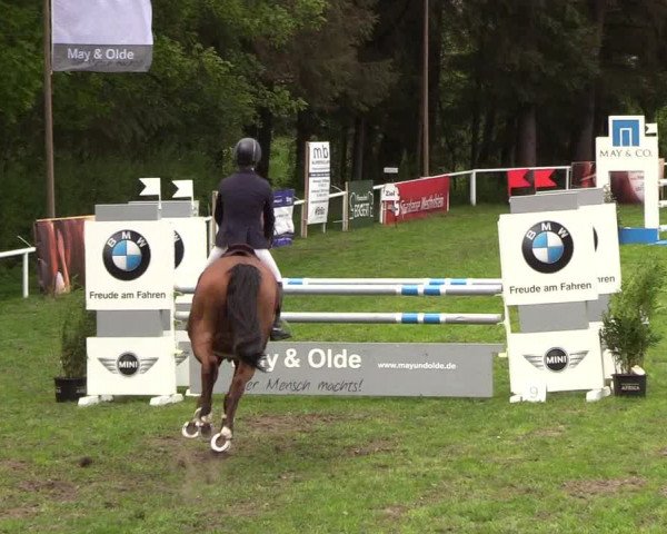 Reitturnier Meldorf 2019