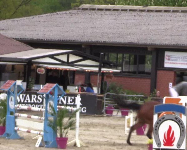 Reitturnier Havixbeck 2019