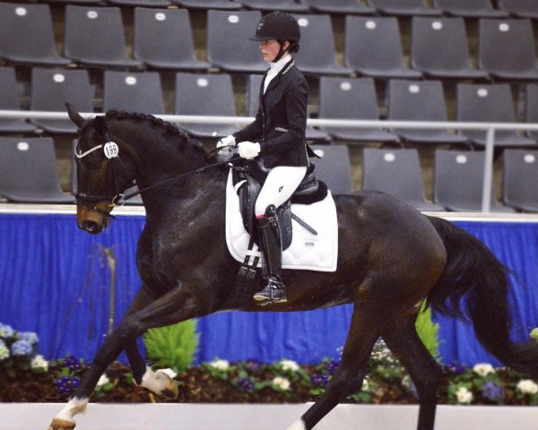 dressage horse Charlotte 235 (Hanoverian, 2016, from Compliment)