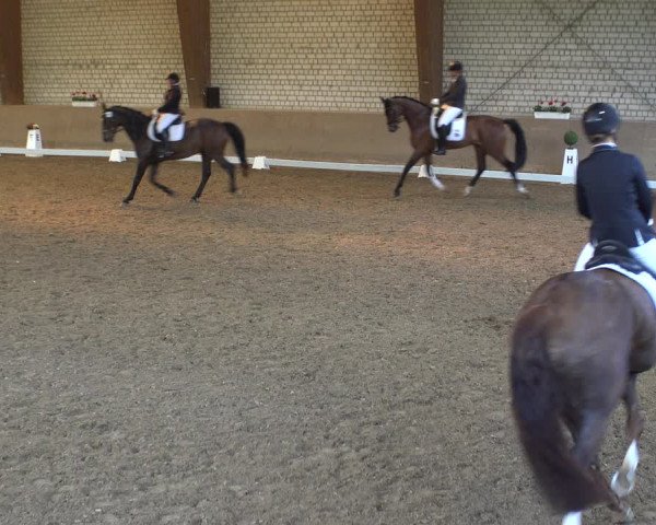 Reitturnier Kamen 2019