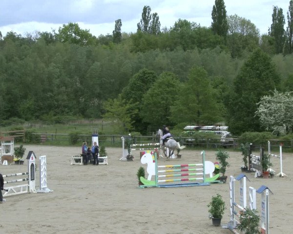 Reitturnier Kamen 2019