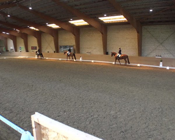 Reitturnier Kamen 2019