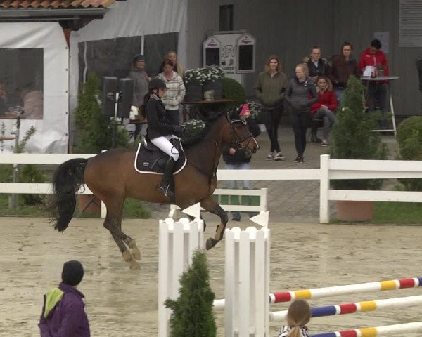 Reitturnier Leutkirch-Diepoldshofen 2019