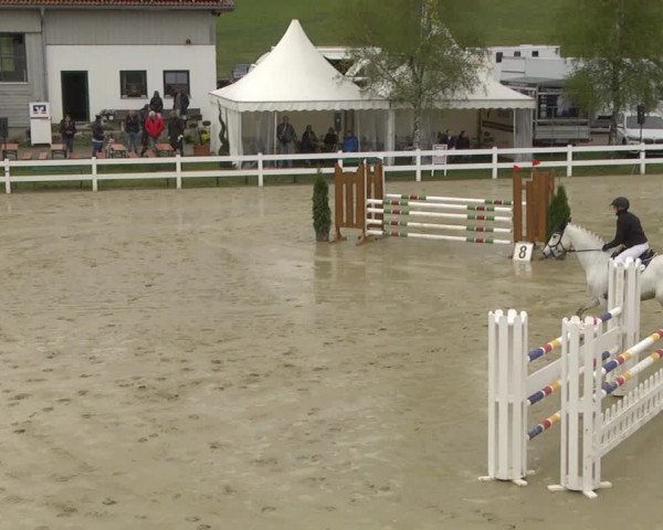 Reitturnier Leutkirch-Diepoldshofen 2019