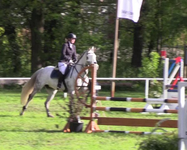 Reitturnier Meldorf 2019
