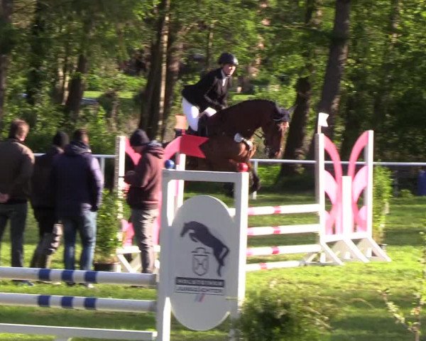 Reitturnier Meldorf 2019