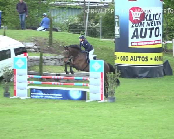 Reitturnier Uster 2019