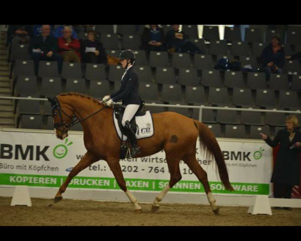 dressage horse Lotusblume 11 (Hanoverian, 2013, from Londontime)