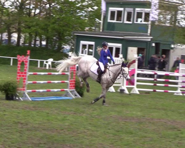 Reitturnier Meldorf 2019