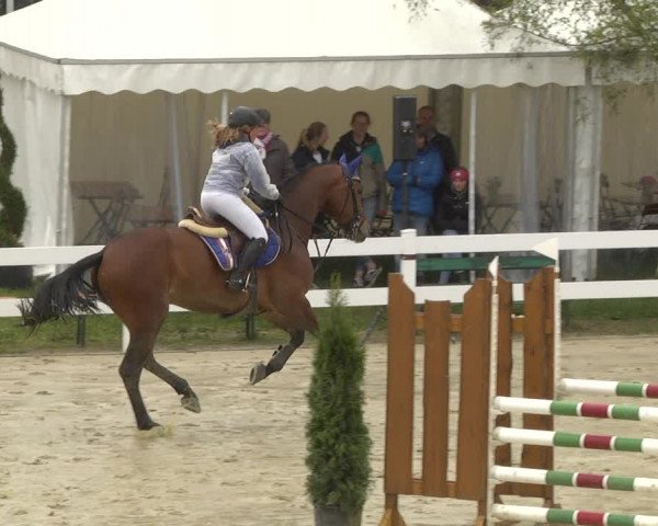 Reitturnier Leutkirch-Diepoldshofen 2019