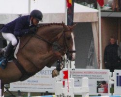 jumper Robin D'Epic (Selle Français, 2005, from Quaprice Z)