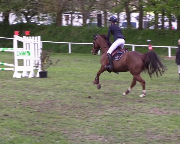 Reitturnier Meldorf 2019