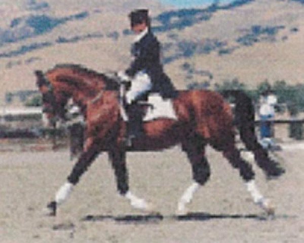 stallion Taxateur (KWPN (Royal Dutch Sporthorse), 1977, from Obelisk)