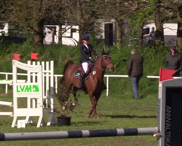 Reitturnier Meldorf 2019