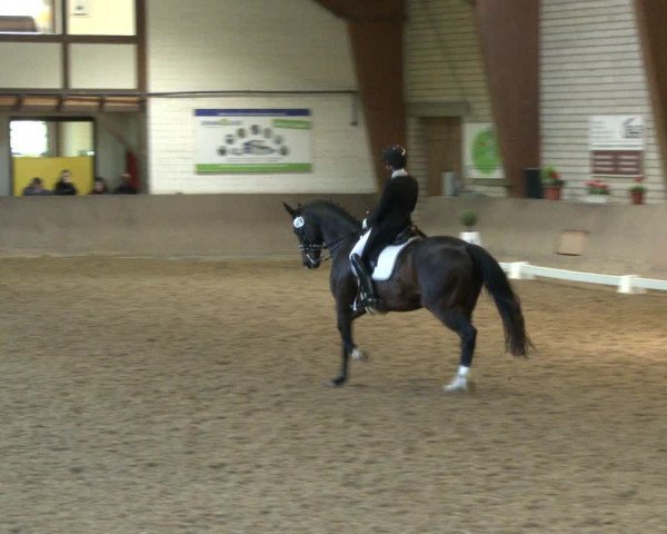 Reitturnier Kamen 2019