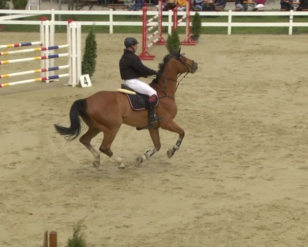 Reitturnier Leutkirch-Diepoldshofen 2019