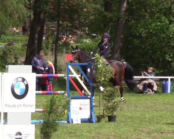 Reitturnier Meldorf 2019