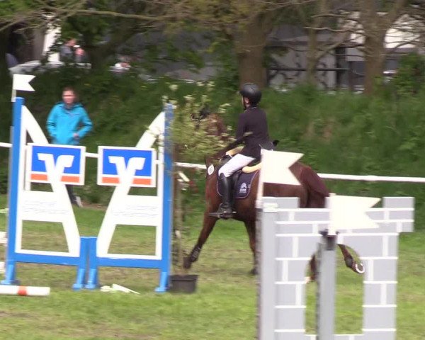Reitturnier Meldorf 2019