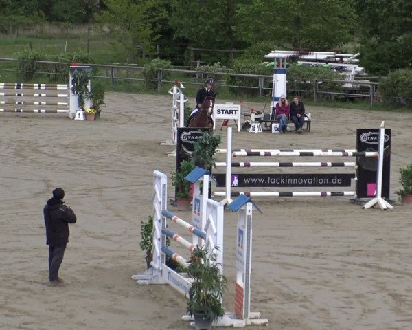 Reitturnier Kamen 2019