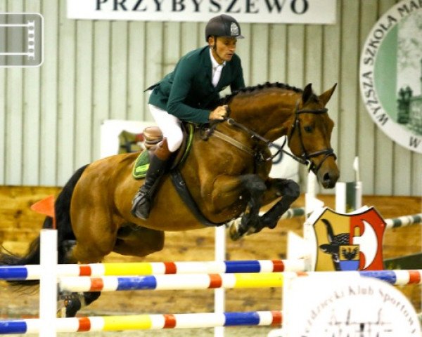 Springpferd Cassia de Lys L (Westfale, 2009, von Champion de Cord)