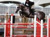 Zuchtstute Jezebel van Dorperheide (Belgisches Warmblut, 2009, von Winningmood van de Arenberg)