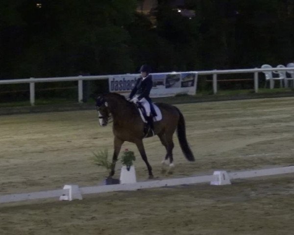 Reitturnier Wiesbaden-Erbenheim 2019