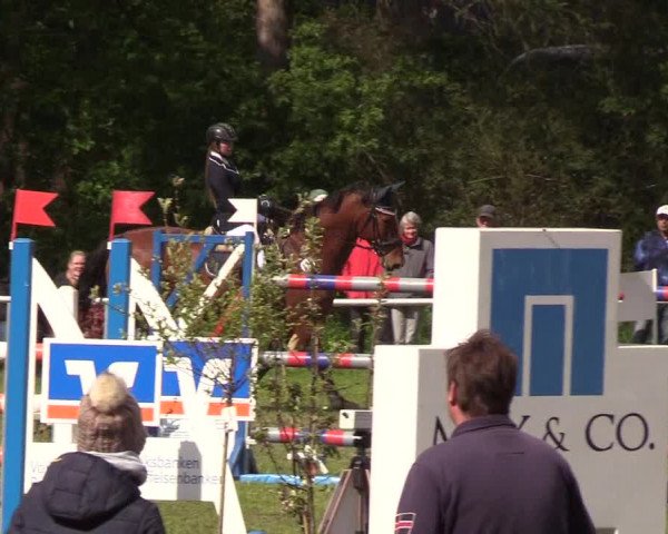Reitturnier Meldorf 2019