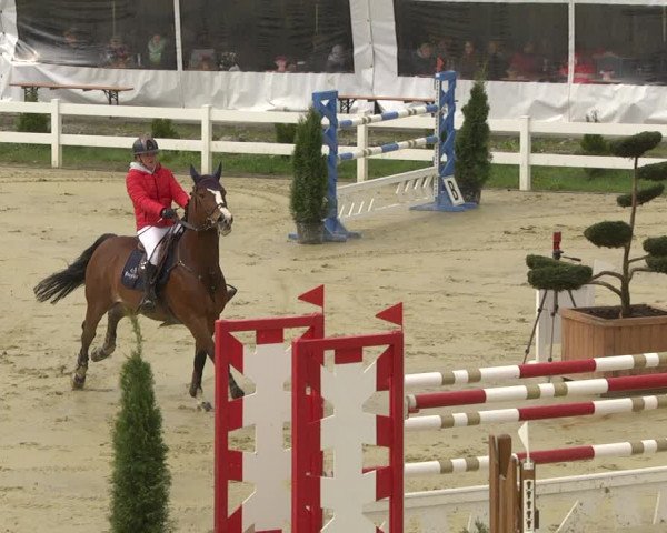 Reitturnier Leutkirch-Diepoldshofen 2019