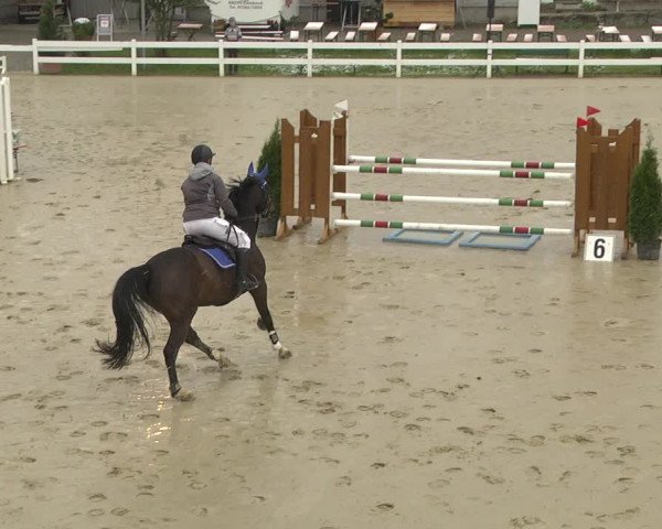 Reitturnier Leutkirch-Diepoldshofen 2019
