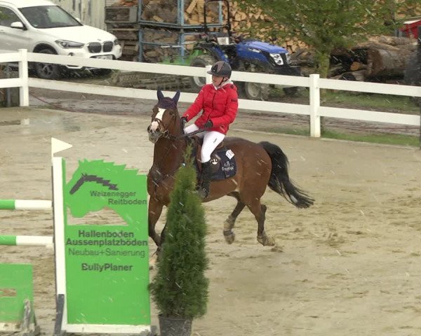 Reitturnier Leutkirch-Diepoldshofen 2019
