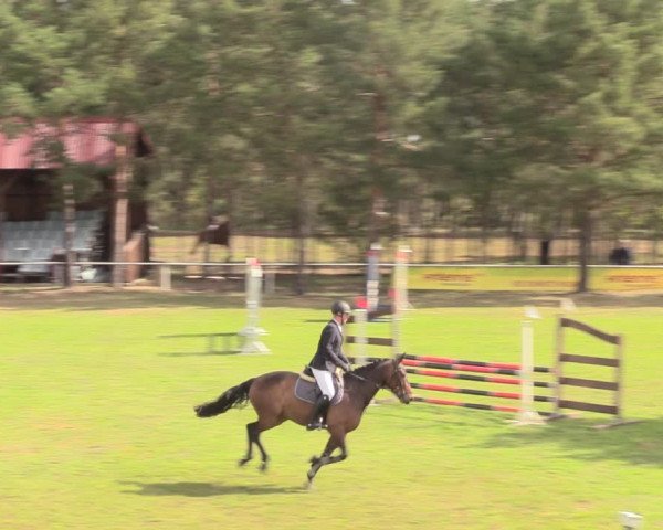 Reitturnier Altbarnim 2019