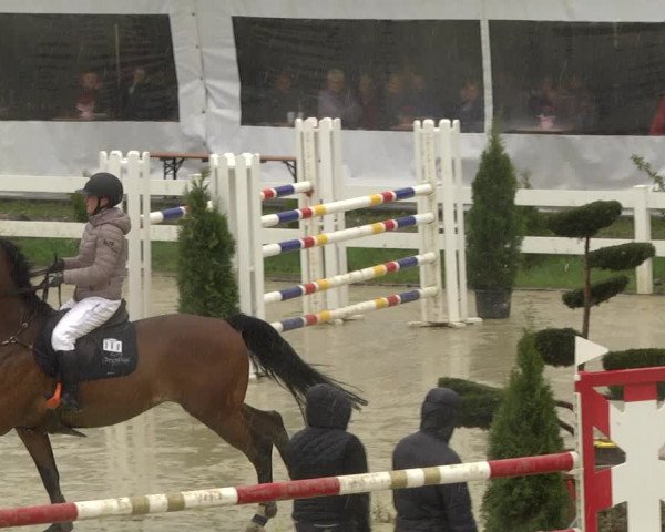Reitturnier Leutkirch-Diepoldshofen 2019
