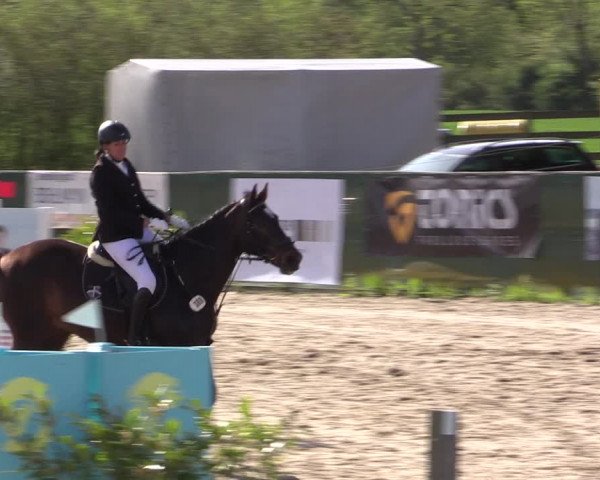 Reitturnier Langwedel - Hagen - Grinden 2019