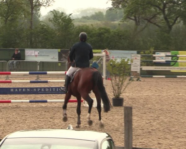 Reitturnier Langwedel - Hagen - Grinden 2019