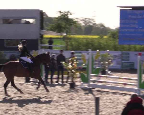 Reitturnier Langwedel - Hagen - Grinden 2019