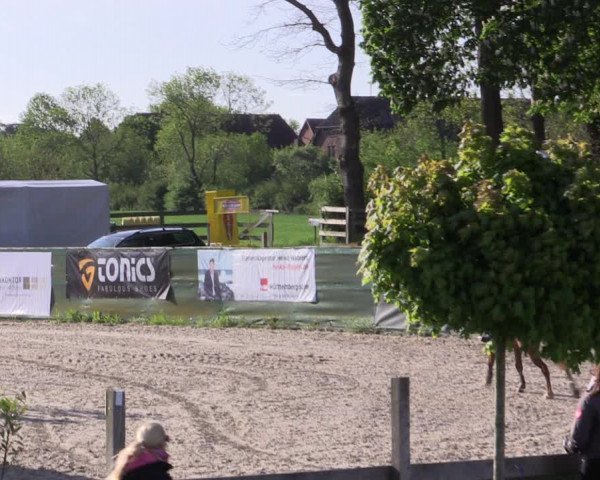Reitturnier Langwedel - Hagen - Grinden 2019