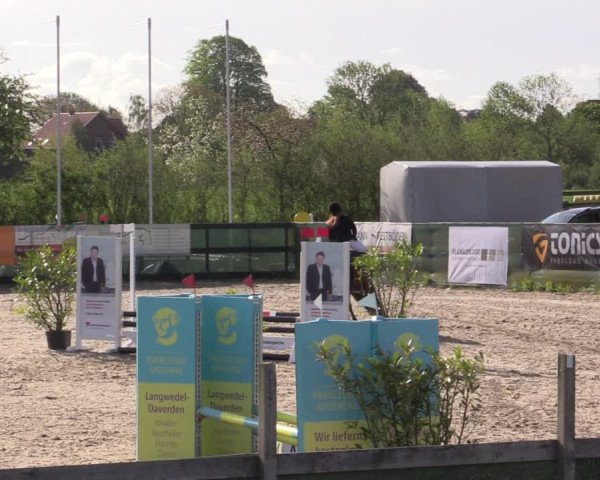 Reitturnier Langwedel - Hagen - Grinden 2019