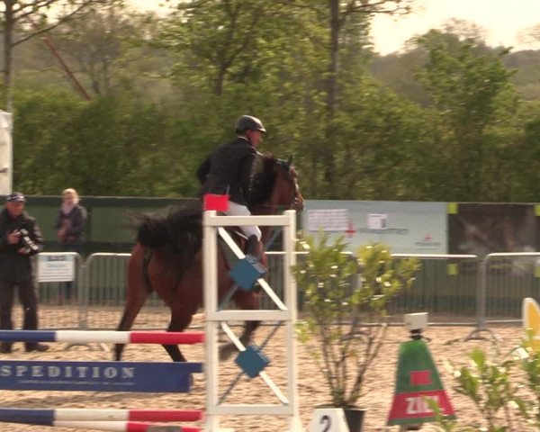 Reitturnier Langwedel - Hagen - Grinden 2019