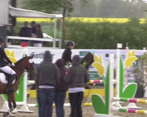 Reitturnier Langwedel - Hagen - Grinden 2019